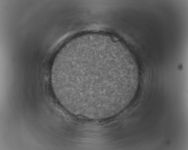 X0000115181206200911251348