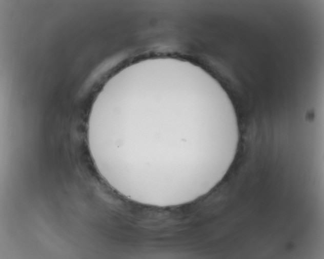 X0000115181207200911251349