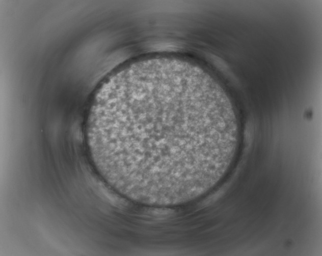 X0000115181209200911251349
