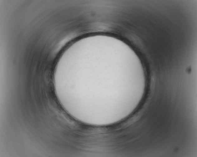 X0000115181210200911251349