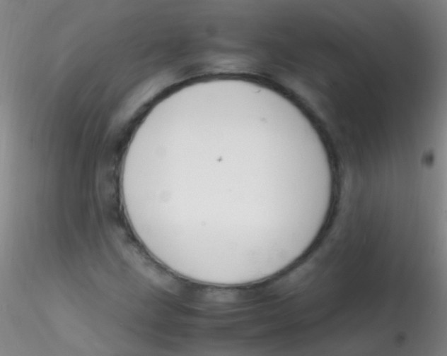 X0000115181211200911251349