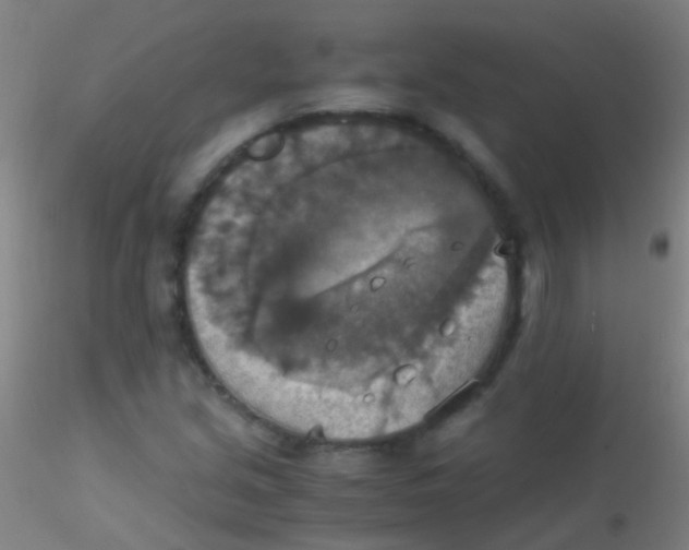 X0000115181213200911251349