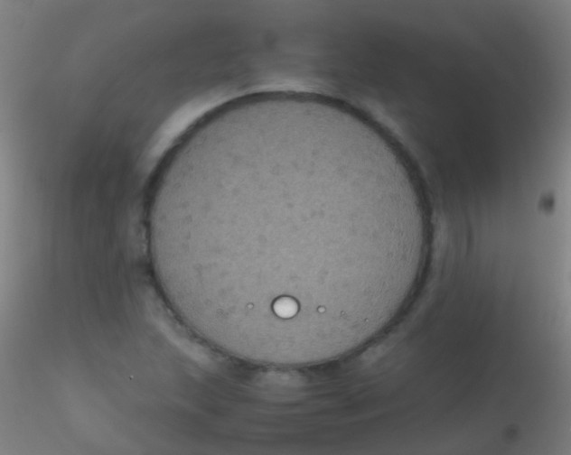 X0000115181215200911251349