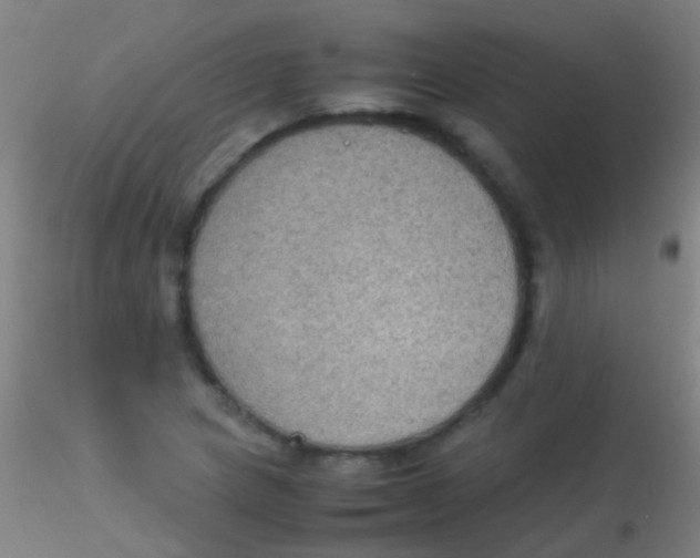 X0000115181217200911251349