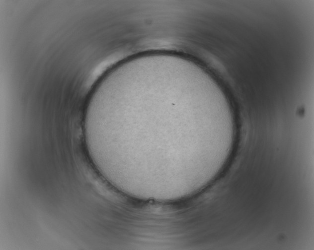 X0000115181218200911251349