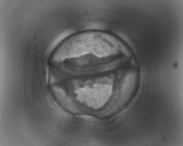 X0000115181219200911251349