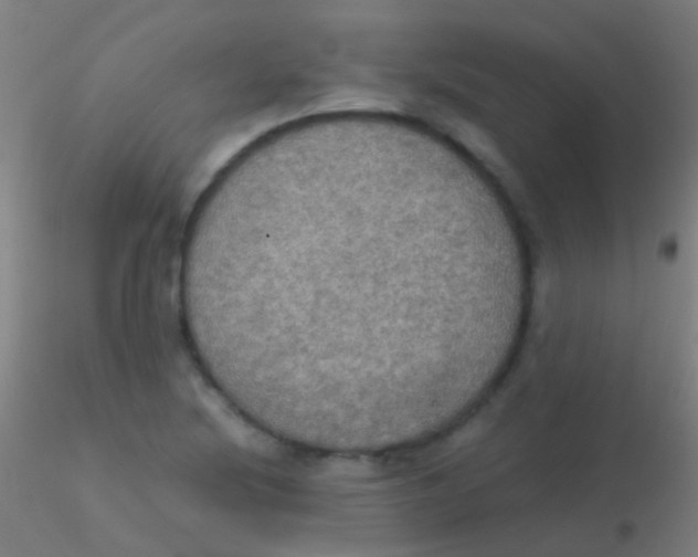 X0000115181220200911251349