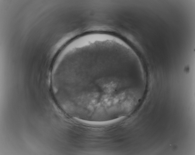 X0000115181221200911251349