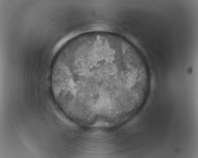X0000115181222200911251349