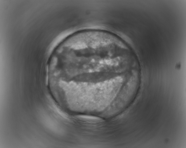 X0000115181223200911251349