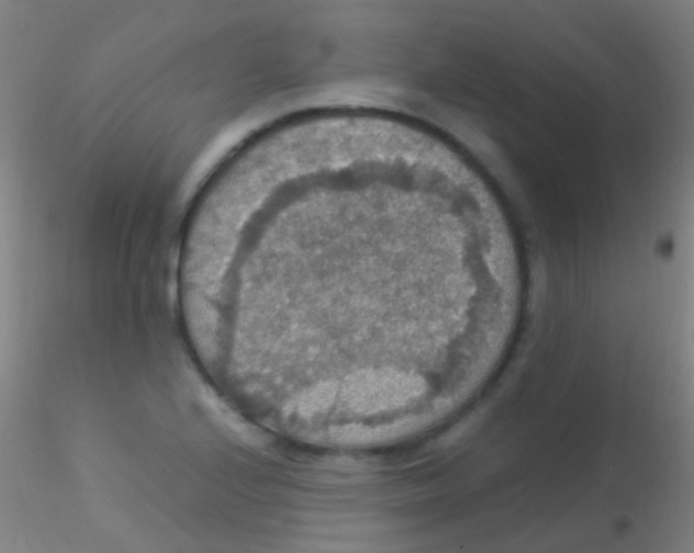 X0000115181224200911251349