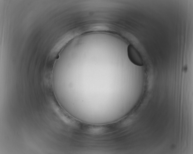 X0000115181225200911251349