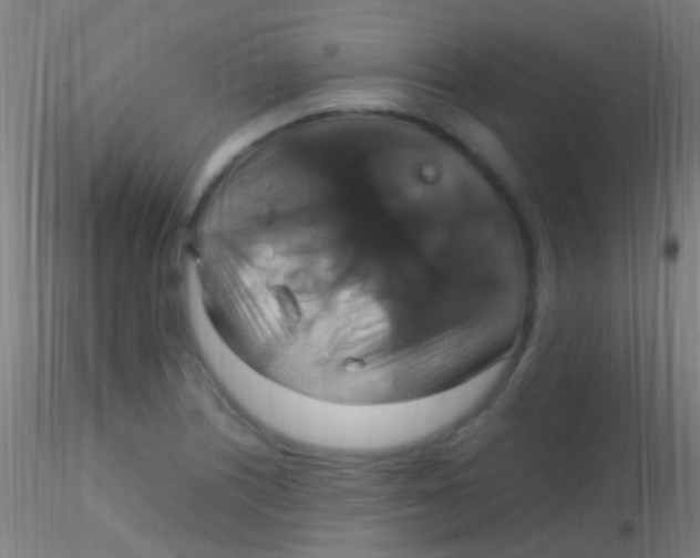 X0000115181226200911251349