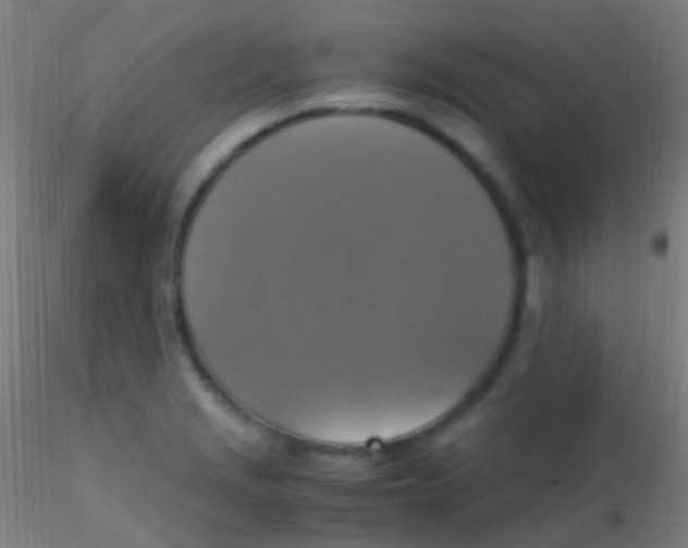 X0000115181229200911251349
