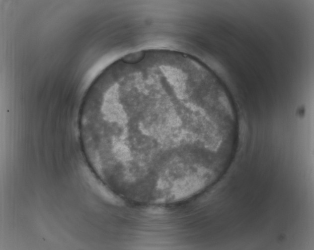 X0000115181230200911251349