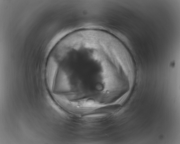 X0000115181231200911251349