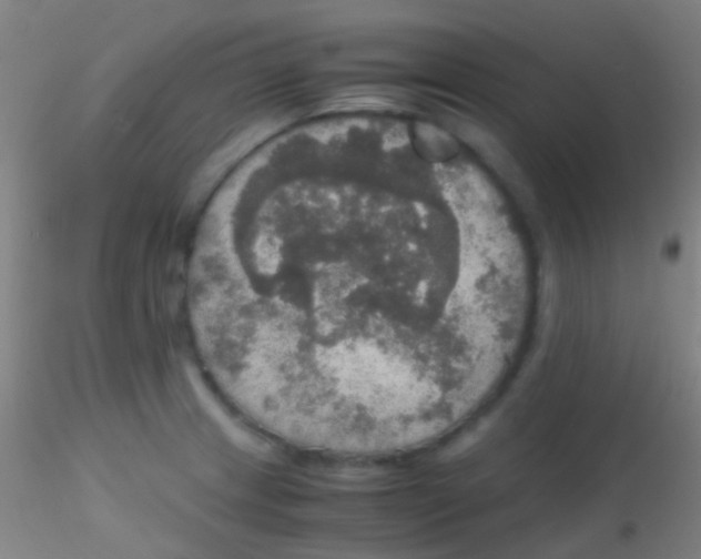 X0000115181233200911251349