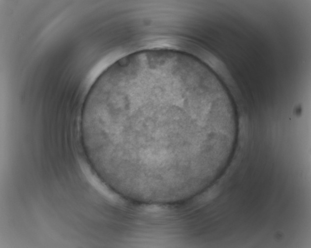 X0000115181234200911251349