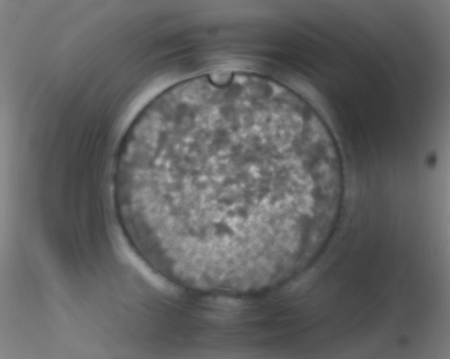 X0000115181235200911251349