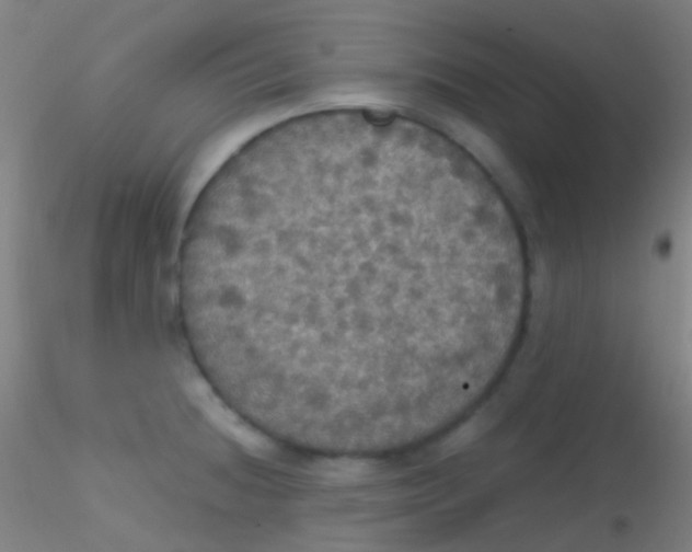 X0000115181236200911251349