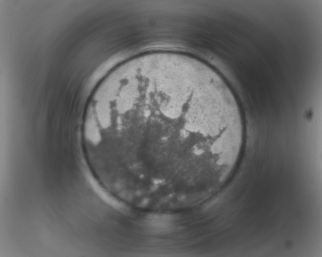 X0000115181237200911251349