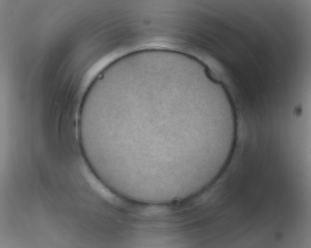 X0000115181238200911251349