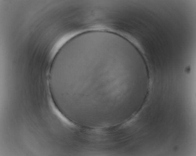 X0000115181239200911251349