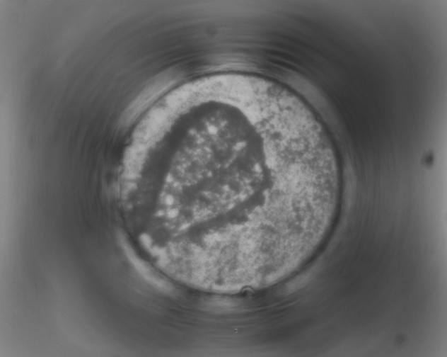 X0000115181241200911251349