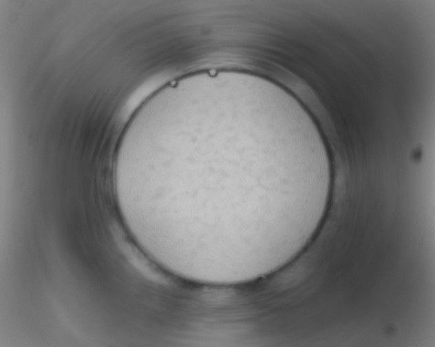 X0000115181242200911251349