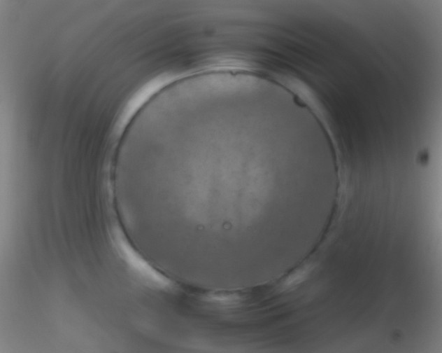 X0000115181243200911251349