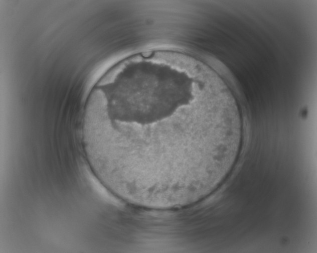 X0000115181244200911251349