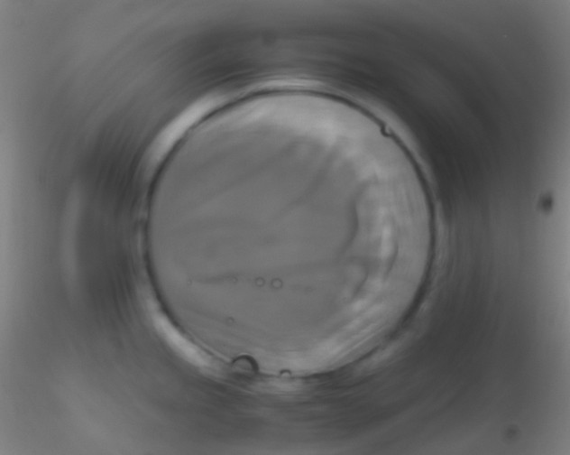 X0000115181245200911251349