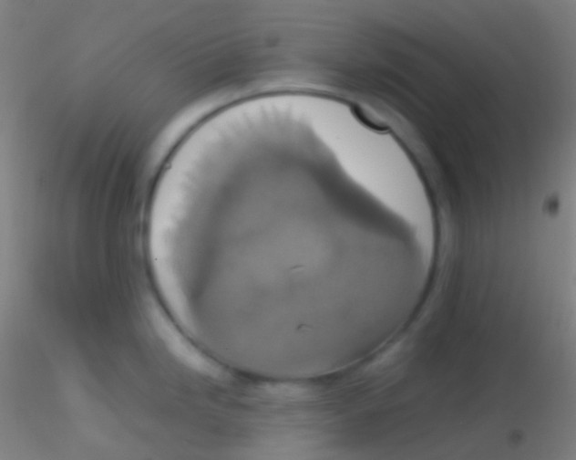 X0000115181246200911251349