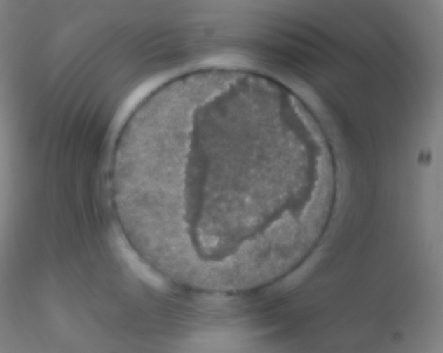 X0000115181248200911251349