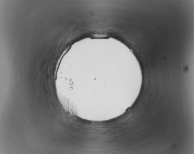 X0000115181249200911251348