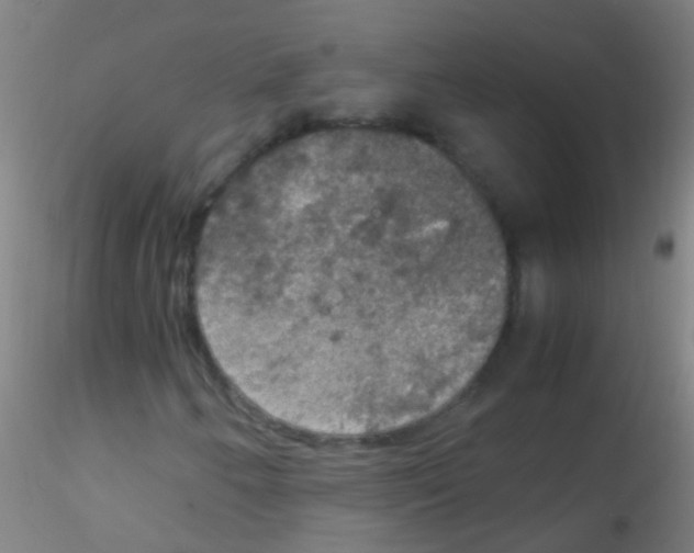 X0000115181250200911251348