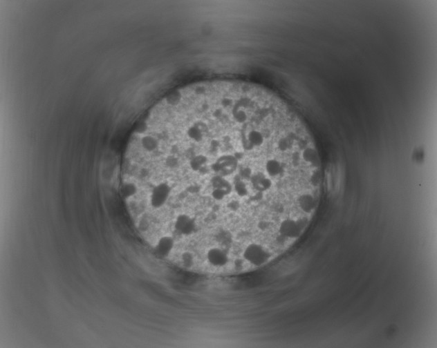X0000115181251200911251348