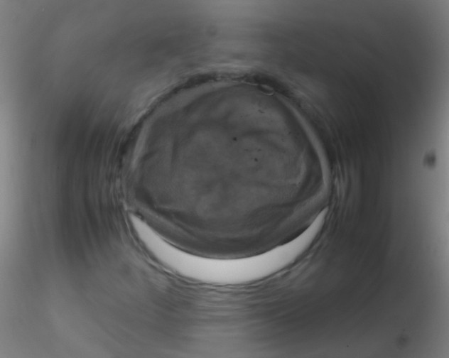 X0000115181252200911251348