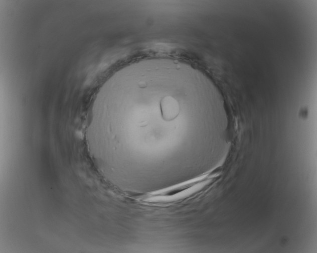 X0000115181253200911251348