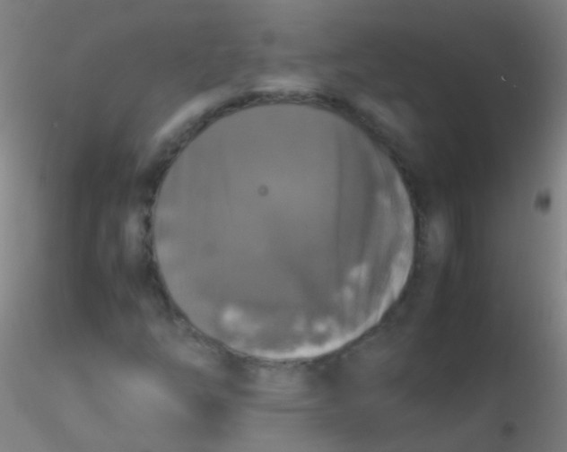 X0000115181254200911251348
