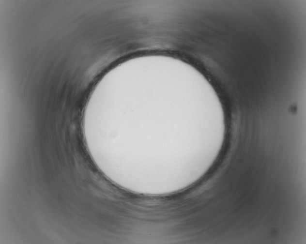X0000115181257200911251348