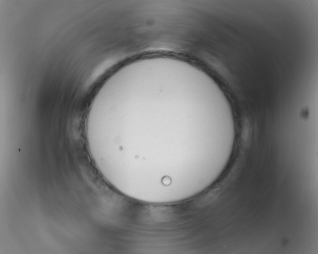 X0000115181258200911251348