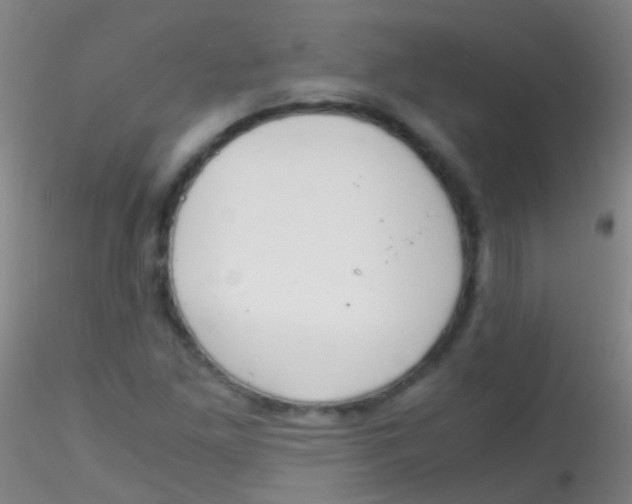 X0000115181261200911251348
