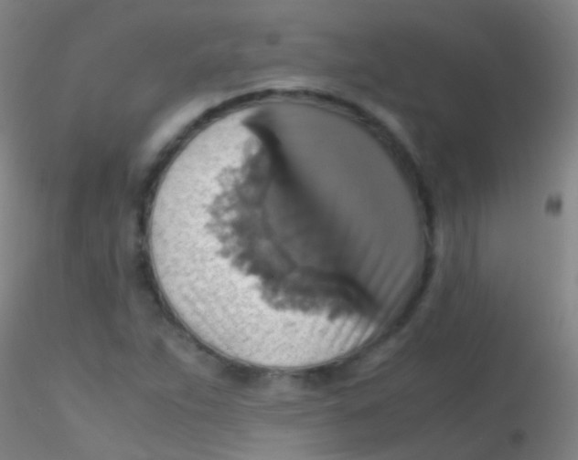 X0000115181263200911251348