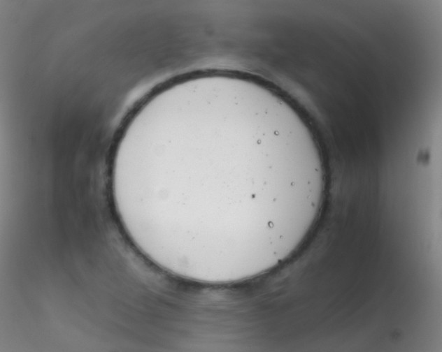 X0000115181264200911251348