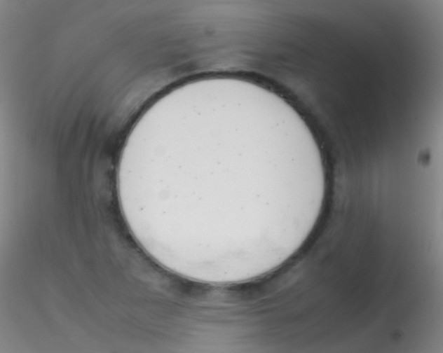 X0000115181265200911251348