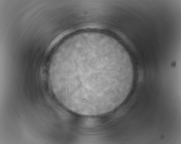 X0000115181266200911251348