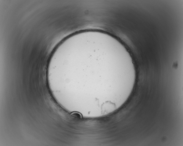 X0000115181268200911251348