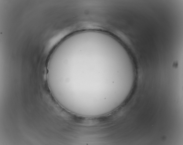 X0000115181269200911251348