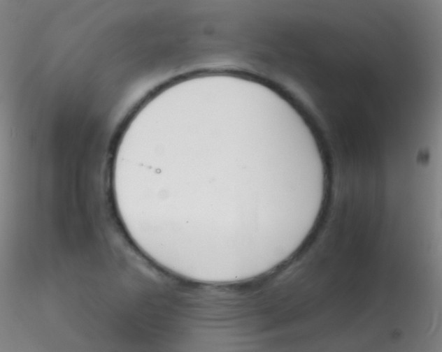 X0000115181270200911251348